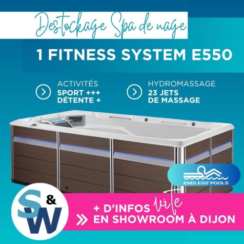 spas-wellness-destockage-Spas-Nage-endless-pools-fitness-system-E550-dijon